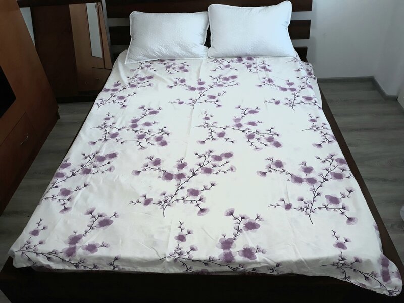 Obor, Colentina, Teiul Doamnei, 10 minute de metrou, stradal, renovat 2026